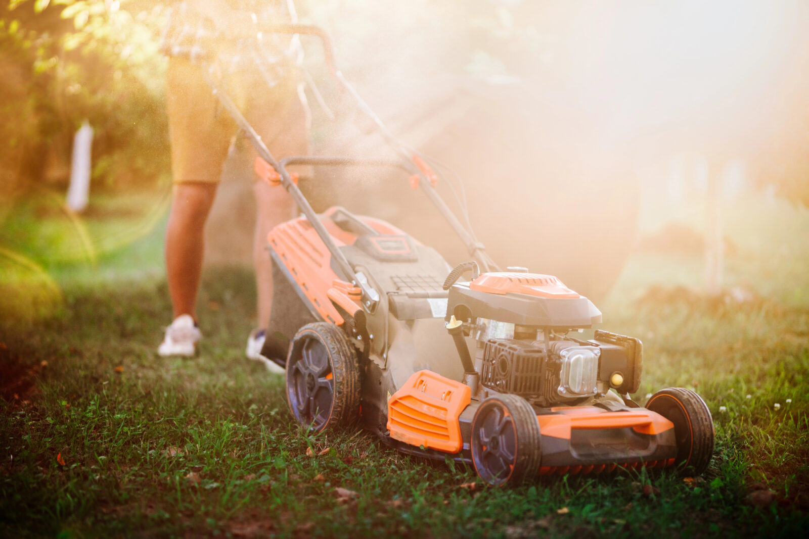 Prava kosilnica lahko izboljša izgled trave